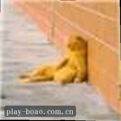 王悦